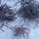 Image for article titled How to cook dinner on a frozen Minnesota lake when it’s 20 degrees out